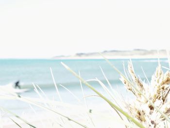 Scenic view of sea against clear sky