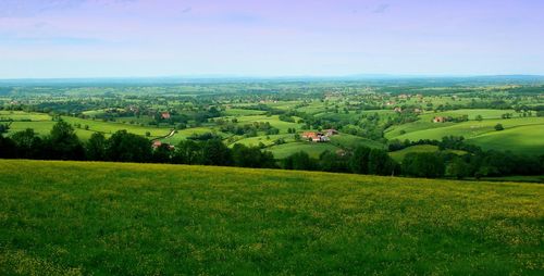 Scenic view of agricultural field against clear sky