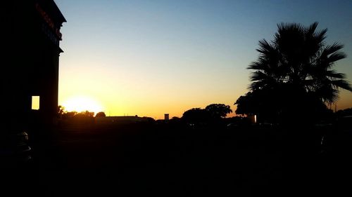 Silhouette of trees at sunset