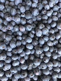 Full frame shot of blueberries