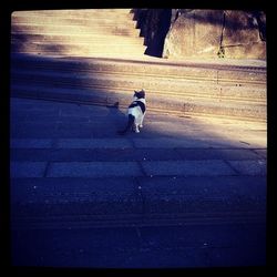 Full length of woman standing on wall
