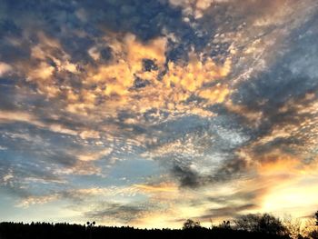 Low angle view of silhouette trees against dramatic sky