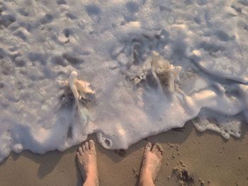 Low section of woman on beach