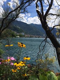 Scenic view of lake with mountains in background