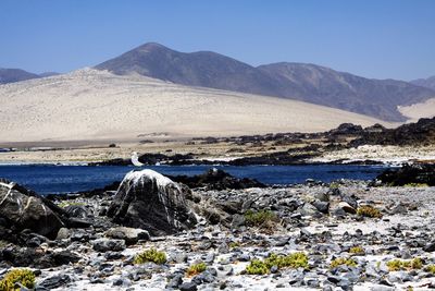 Scenic view of sea and mountains against clear sky