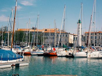 Sailboats moored in harbor against sky