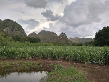 Scenic view of lake against sky