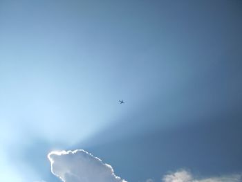 Low angle view of airplane flying in sky