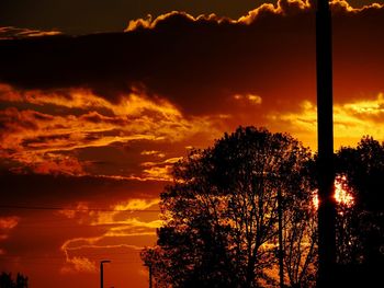 Silhouette of trees at sunset