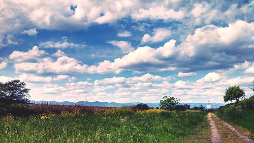 Scenic view of field against sky