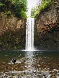 Scenic view of waterfall