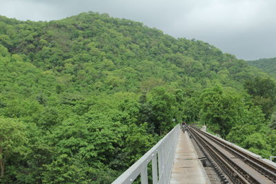 Railroad tracks amidst trees against sky