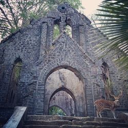 Low angle view of a statue of a temple