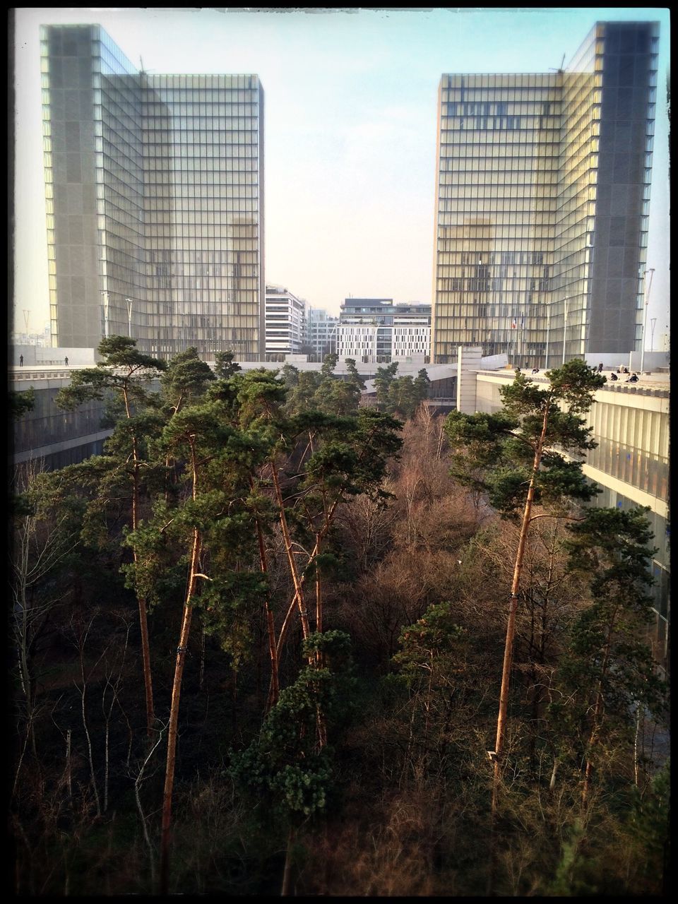 transfer print, building exterior, architecture, built structure, auto post production filter, city, tree, skyscraper, tall - high, office building, building, low angle view, growth, modern, tower, sky, tall, residential building, day, no people