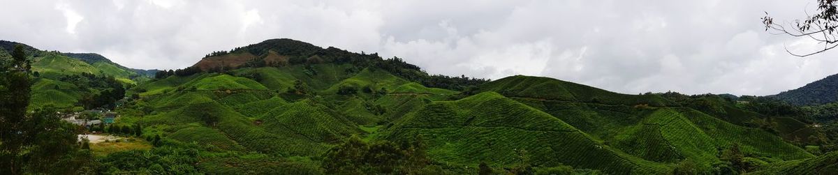 Panoramic view of agricultural field against sky