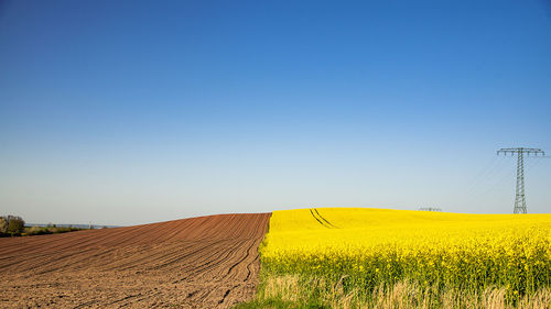 Scenic view of agricultural field against clear sky