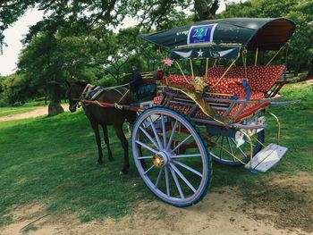 Horse cart on field