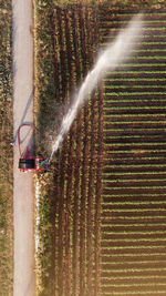 Full frame shot of agricultural field