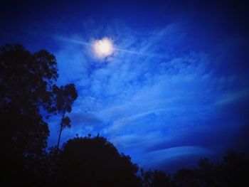 Low angle view of silhouette trees against sky at night