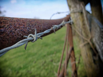 Close-up of barbed wire against sky