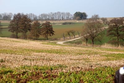 Scenic view of field against sky