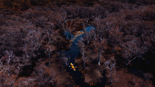 High angle view of water