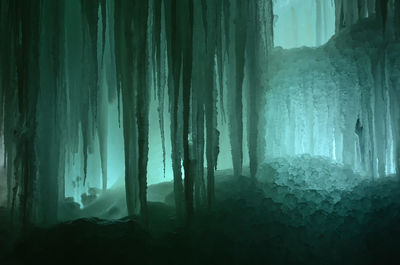 View of icicles in forest during winter