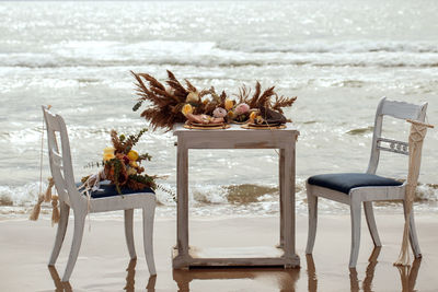 Plants and chairs on table at beach