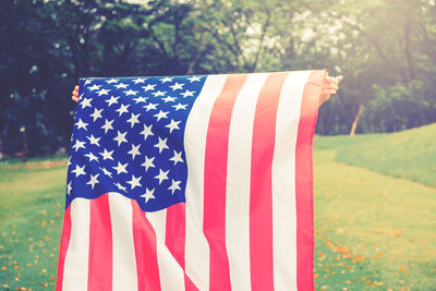 Girl with american flag against trees