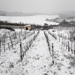 Scenic view of field against sky during winter