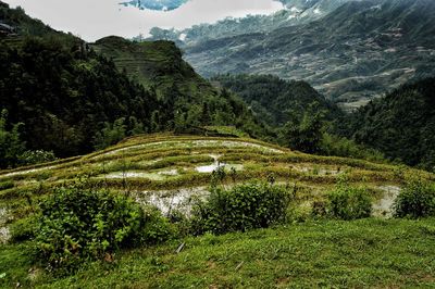 Scenic view of landscape