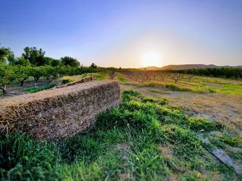 Scenic view of land against sky during sunset