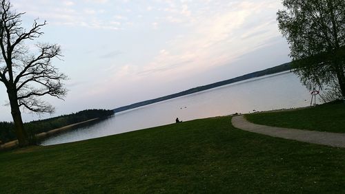 Man standing on grass by trees against sky