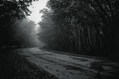 Road amidst trees in forest during winter