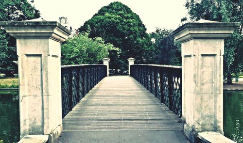 Walkway along trees