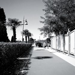 Road amidst trees against clear sky in city