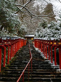 Staircase leading towards trees