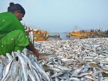 Side view of woman drying fish at harbor against sky