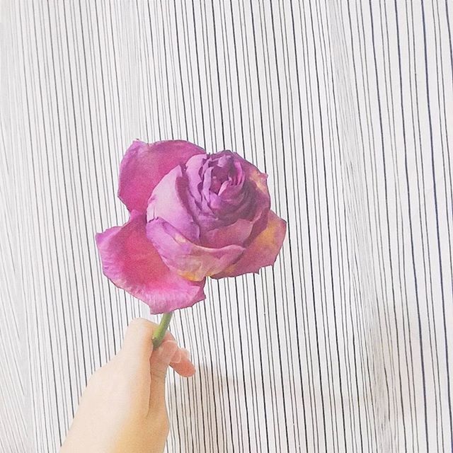 CROPPED IMAGE OF MAN HOLDING FLOWERS