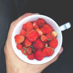 Close-up of hand holding strawberries