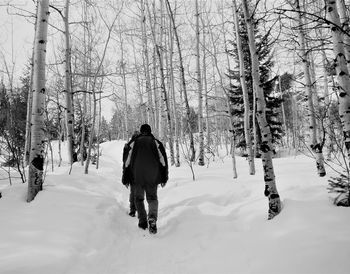 Rear view of man in snow covered forest