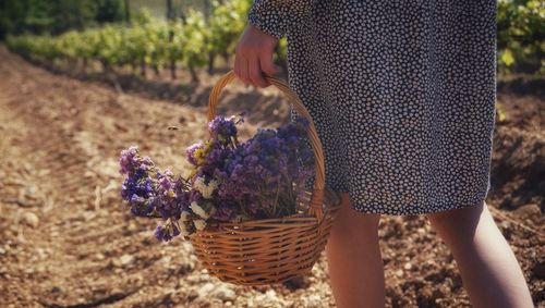 Basket of flowers