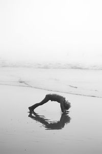 View of driftwood on beach