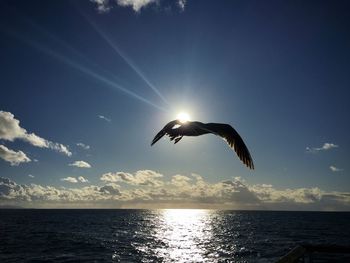 Bird flying over sea against sky