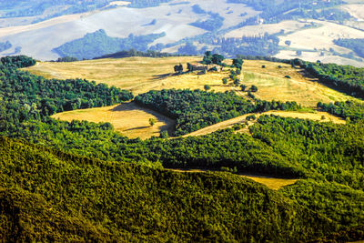 Scenic view of agricultural field