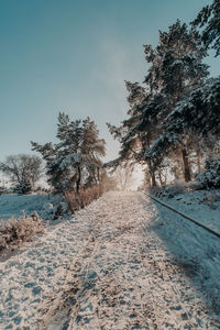 Road amidst trees against sky