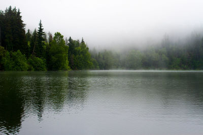 Scenic view of lake by trees against sky