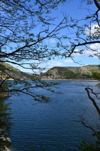 Scenic view of lake against clear blue sky