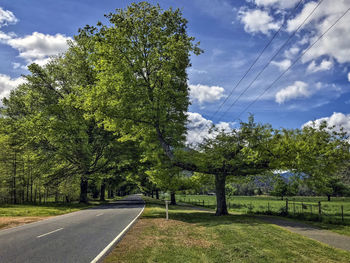 Road amidst trees against sky