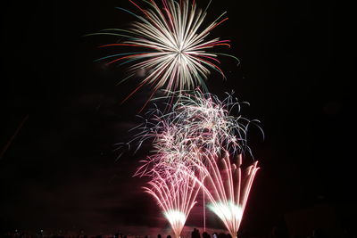 Low angle view of firework display at night